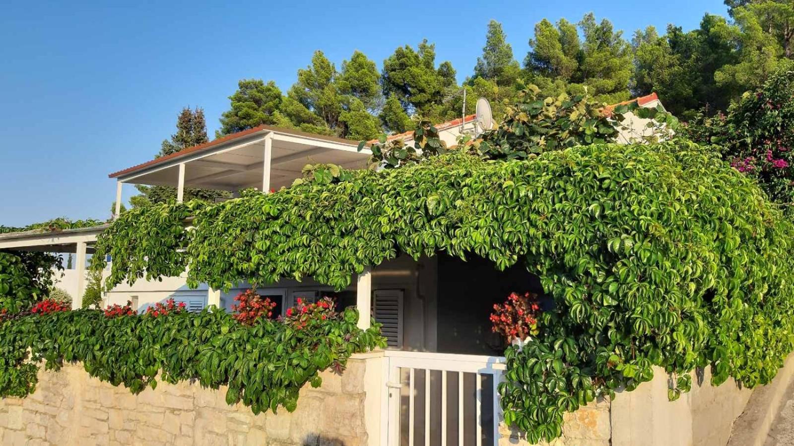 Studio Apartman Kornelija Lumbarda Exterior photo